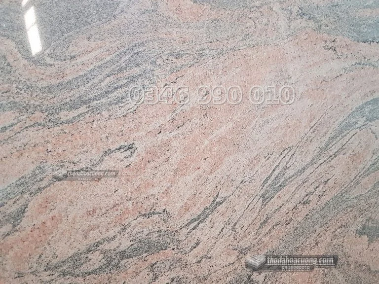 SP025-GR-HO-main
