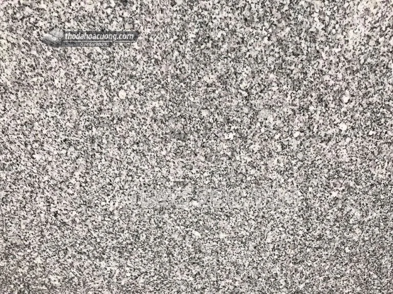 SP041-GR-TR-main