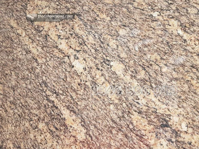 SP044-GR-VA-main