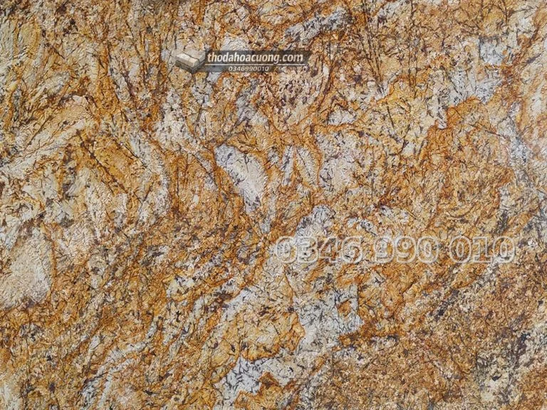 SP049-GR-VA-main