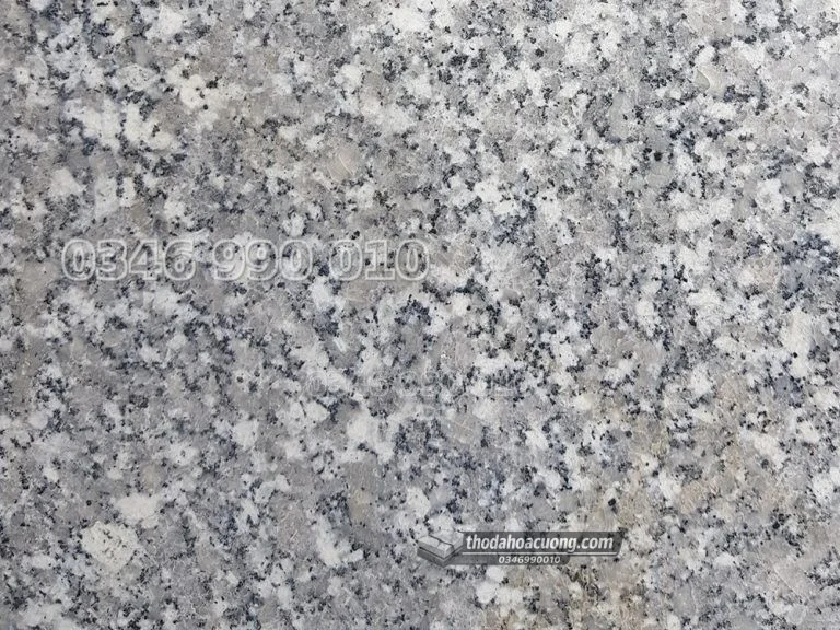 SP050-GR-TR-main