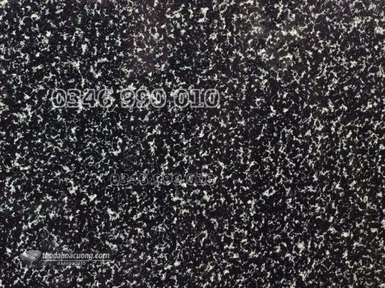 SP053-GR-XA-main