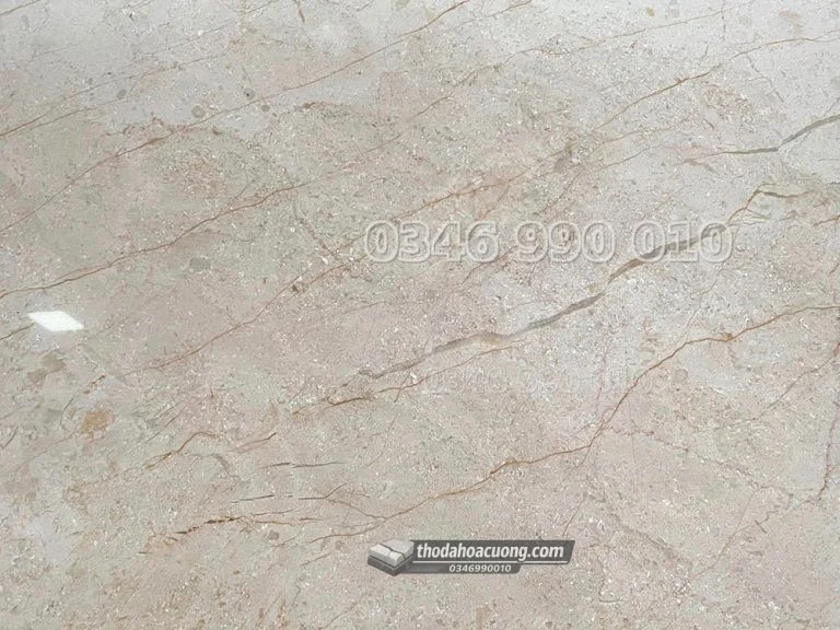 SP068-MA-VA-main