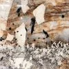 SP106-GR-TR-main Đá Granite Pandora Màu Trắng
